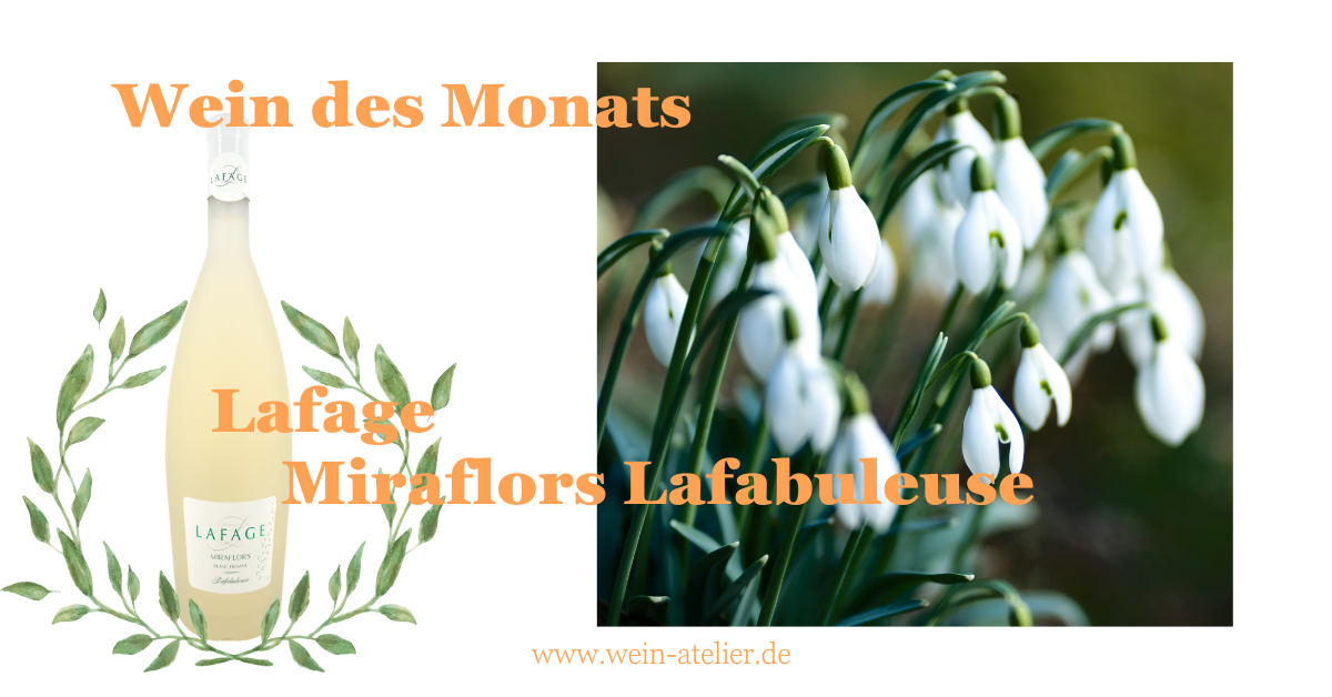 Wein des Monats: Miraflors Lafabuleuse von Lafage